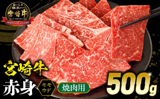 宮崎牛 モモ or ウデ 赤身焼肉500g_M299-003-01