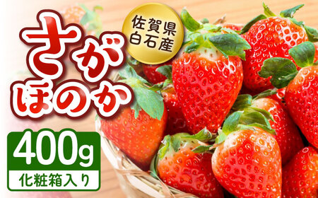 【先行予約】【化粧箱入り】白石産いちご「さがほのか」400g / イチゴ 苺 フルーツ 果物 / 佐賀県 / 岸川農園 [41ASAG003]