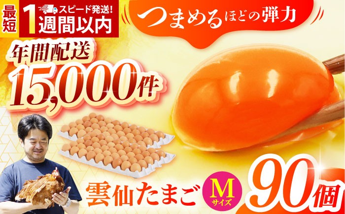 長崎県産 島原市 たまご 卵 玉子 タマゴ 鶏卵 オムレツ 卵かけご飯 朝食 料理 人気 卵焼き 大容量 たっぷり
