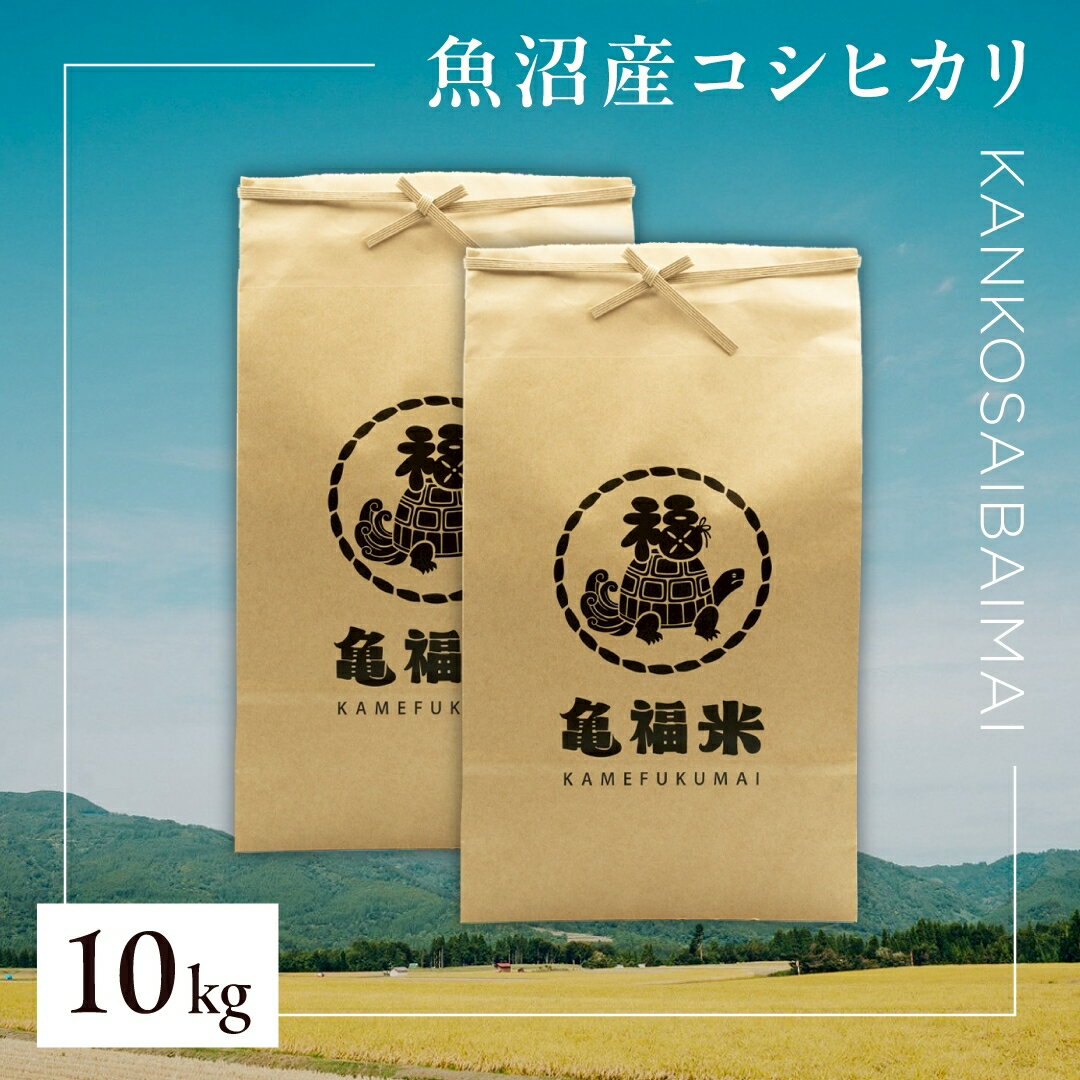【ふるさと納税】令和7年産 魚沼産コシヒカリ「亀福 慣行栽培米」10kg(5kg×2袋) 選べる 配送回数 1回 3回 6回 | お米 おこめ 白米 精米 おすすめ 人気 新潟県 津南町 株式会社亀福