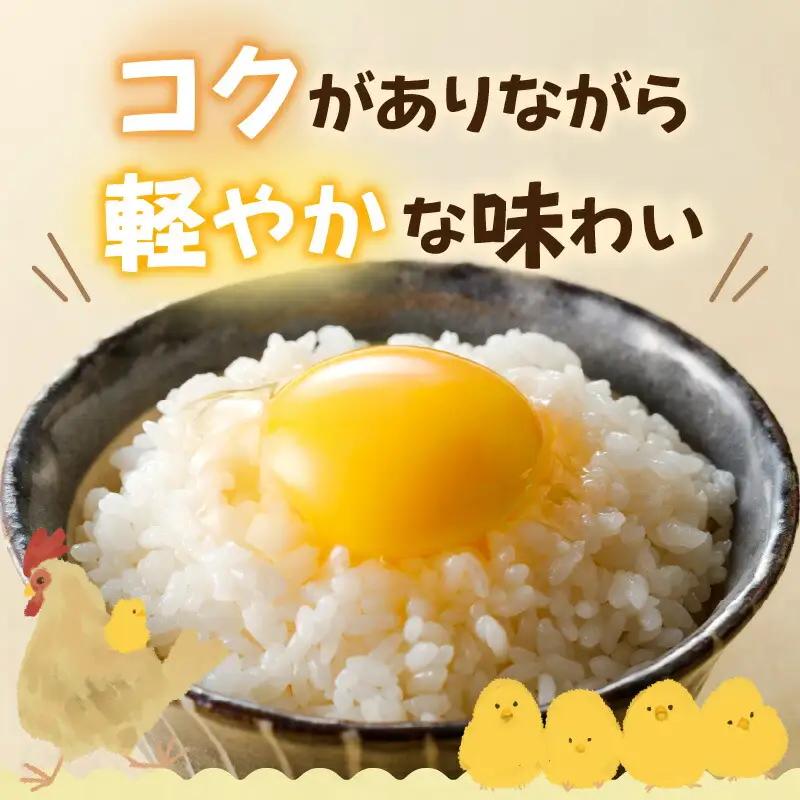 むらかみ農園の赤玉たまご30個_Y140-0001