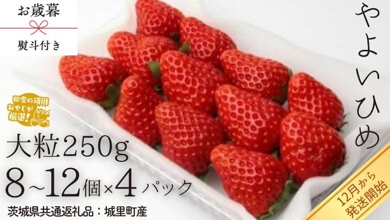 
            【 お歳暮 熨斗付 】やよいひめ〈いちご〉大粒 250g（8～12粒）×4パック【2025年12月から発送開始】（茨城県共通返礼品 [いちご]：城里町産）いちご 苺 イチゴ やよいひめ
          