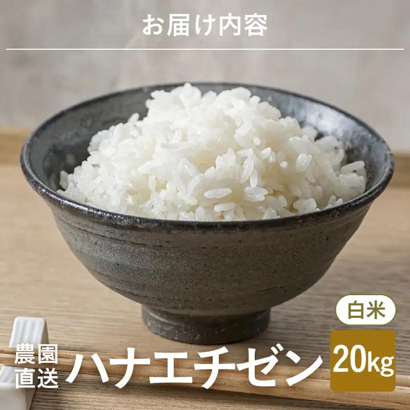 【令和8年産・新米】 ハナエチゼン20kg(5kg×4袋) ～本原農園からまごころコメて～（白米）[C-8970_01]