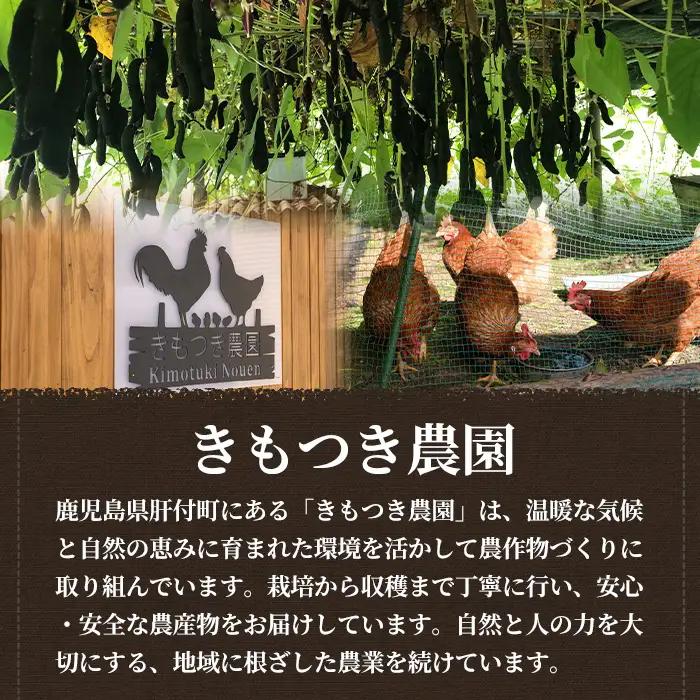 【P98001】焙煎ムクナ豆パウダー(粉末) 鹿児島 国産 ムクナ豆 八升豆 粉末 自然栽培 健康食品 豆 パウダー 栄養 アミノ酸 【きもつき農園】