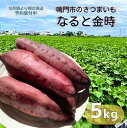 【ふるさと納税】【 予約受付中・2024年10月頃より順次発送 】本場・徳島県鳴門市産「 なると金時 」約5kg【数量限定】鳴門金時 ほくほく 甘い 熟成 国産 産地直送 スイーツ おやつ 天ぷら 干し芋 ギフト