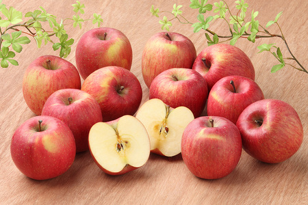 【26年3月クール便発送】りんご 葉取らずサンふじ【良品】約10kg キタエアップル