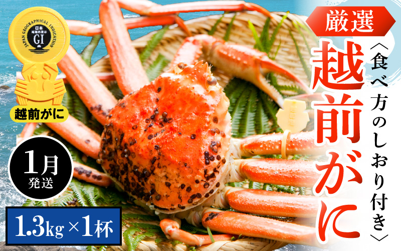 
            越前がに本場の越前町からお届け！ 越前がに 浜茹で 特大サイズ（生で1.3kg以上） × 1杯 かにの食べ方しおり付き【かに カニ 蟹】【福井県 越前町 雄 ズワイガニ ボイル 冷蔵 越前ガニ 越前かに 越前カニ ずわいがに ずわい蟹 かに カニ 蟹】【1月発送分】希望日指定可 備考欄に希望日をご記入ください [e14-x010_01]
          