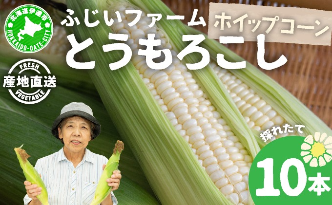  北海道産 とうもろこし ホワイト ホイップコーン 10本 Lサイズ トウモロコシ とうきび コーン スイートコーン 先行受付 新鮮 朝採り 産地直送 国産 野菜 農作物 甘い 白い 人気 BBQ ふじいファーム  送料無料