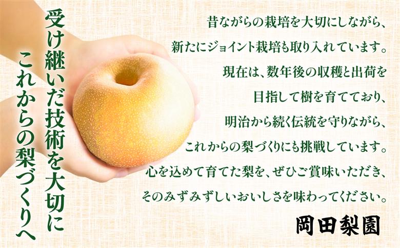 【先行予約】福島県いわき市産 梨(幸水) 約5kg | 梨 幸水 いわき市産 岡田梨園 約5kg 先行予約 期間限定 果物 フルーツ 和梨 国産 新鮮 産地直送 甘い ジューシー 瑞々しい シャキシャ