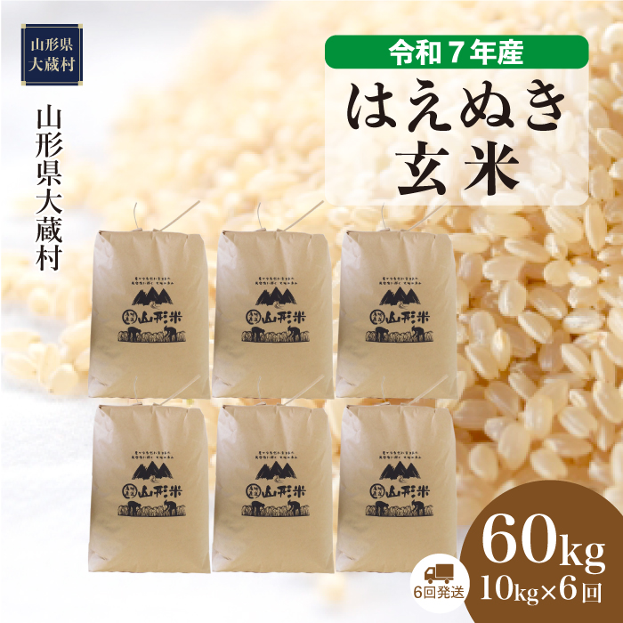 ＜令和7年産米＞ はえぬき 【玄米】60kg定期便(10kg×6回)　配送時期指定できます！
