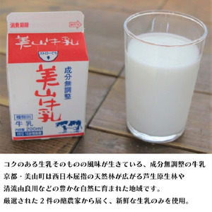 牛乳 京都 美山牛乳 瓶 900ml ×3本 珈琲牛乳 200ml ×6本 詰め合わせ セット 美山町 お取り寄せ コーヒー牛乳 パック ※北海道・沖縄・離島への発送不可 