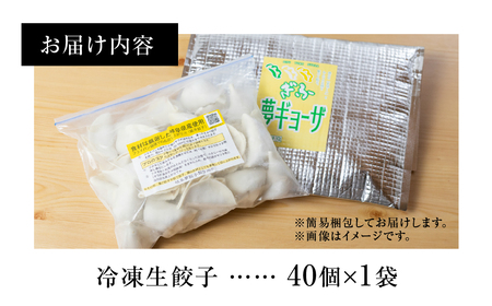 餃子 人気餃子3種を詰め合わせ！ぎふ夢餃子ミックス 40個 冷凍 餃子  [mt1581] 