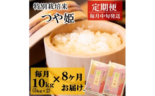 10月スタート【定期便8回】竹原田ファームの特別栽培米つや姫10kg（5kg×2袋）×8回