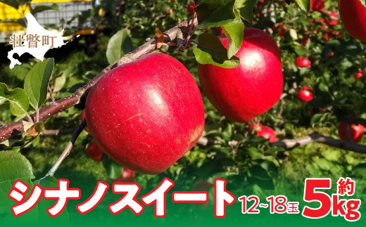 【先行予約】北海道壮瞥町産りんご「シナノスイート」約5kg(12～18玉)<2026年10月下旬よりお届け> 【 ふるさと納税 人気 おすすめ ランキング りんご リンゴ 林檎 シナノスイート 甘い ジューシー 北海道 壮瞥町 送料無料 】 SBTF012
