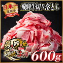 【ふるさと納税】【毎月定期便】飛騨牛　切り落とし　約600g【冷蔵便】全3回【配送不可地域：離島】【4055014】