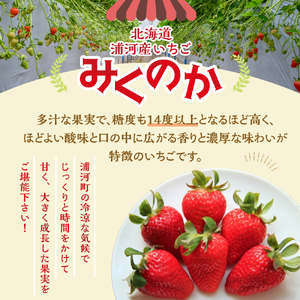 【今が旬！】北海道浦河産いちご「みくのか」230g×3P[13-1430]
