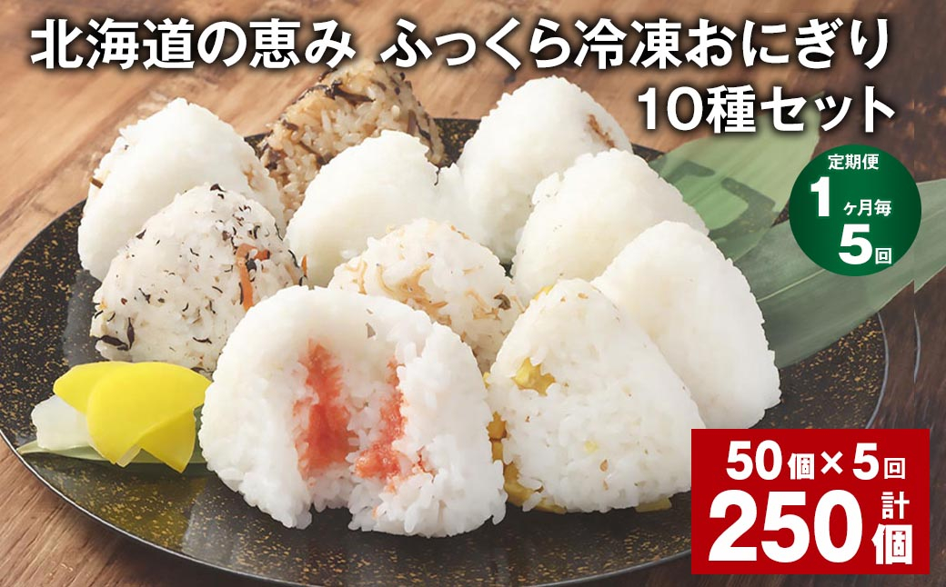 【1ヶ月毎5回定期便】 北海道の恵み ふっくら冷凍おにぎり 10種セット 50個✕5回 計250個 米 お米 おにぎり