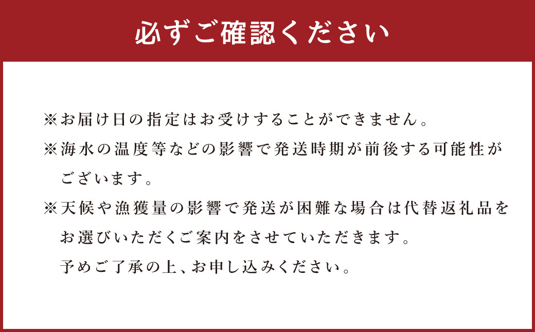 【限定100個】天草岩ガキ「初雫」約1.5kg（10～15個）加熱用 冷蔵