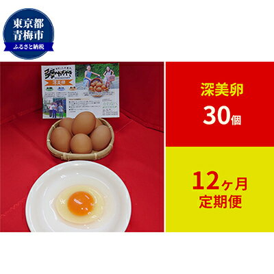【ふるさと納税】【定期便】かわなべ鶏卵農場のこだわりのたまご　深美卵30個　12ヶ月連続お届け L 天然水 抗生物質不使用