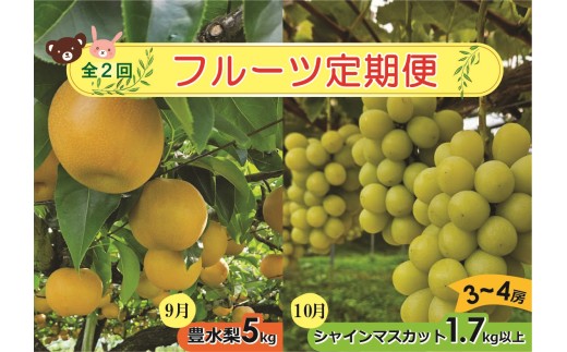 【定期便：全２回】アルコアーナ農園のフルーツ定期便Ｂコース（和梨、シャインマスカット）　0148-2605