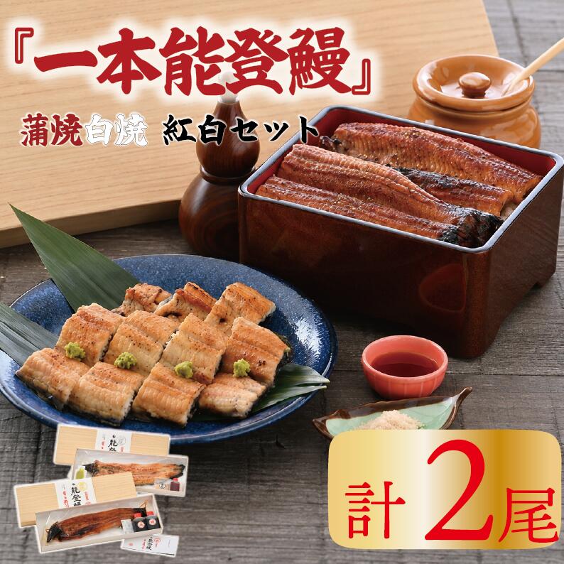 【ふるさと納税】 うなぎ 国産 白焼き 蒲焼き セット 計2尾 ミシュラン掲載の老舗料亭『まつお』の一本能登鰻 国産うなぎ 鰻 うなぎ 国産うなぎ 白焼 わさび 醤油 珠洲 の 塩 付き 能登を味わう ふっくら 美味しい 能登うなぎ うなぎ国産白焼き ふるさと納税 羽咋市 羽咋