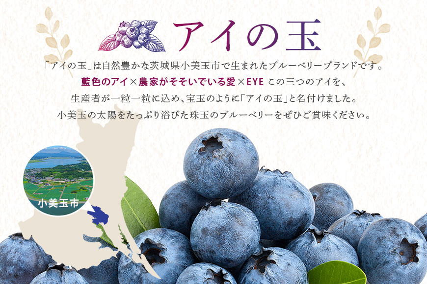《数量限定・期間限定》 【アイの玉】毎日！朝摘み生ブルーベリー(2L) 73-A 【2025年6月15日より順次発送予定・7月31日に受付終了】