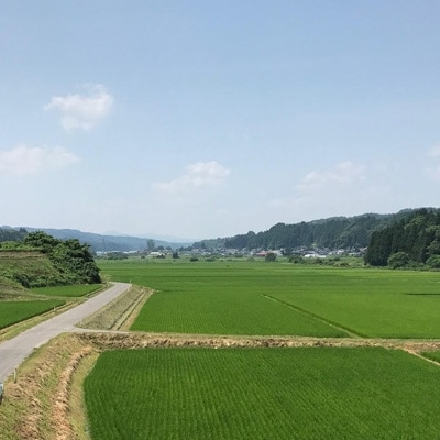 【青森ごのへ産】味に自信 りんご  サンふじ 約5kg【配送不可地域：離島・沖縄県・中国・四国・九州】