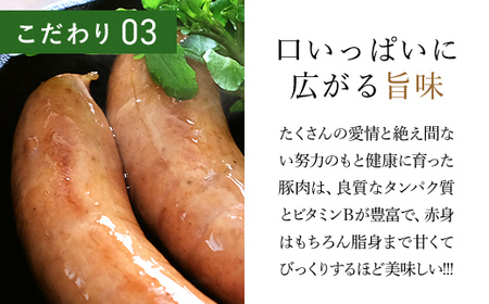 ＜木更津の恵みポーク＞フランクフルト4本×3パック KCB003