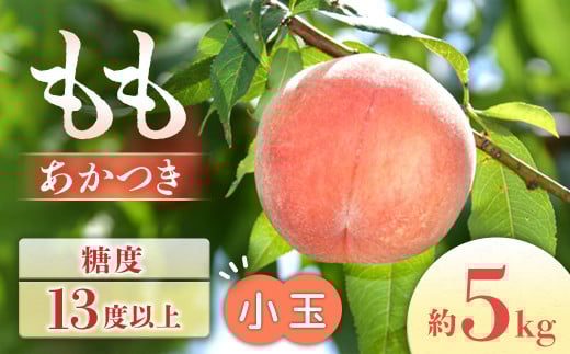 【2026年発送先行予約】桃　あかつき　約5kg【小玉 20～22玉】　※2026年7月下旬～8月初旬発送予定※