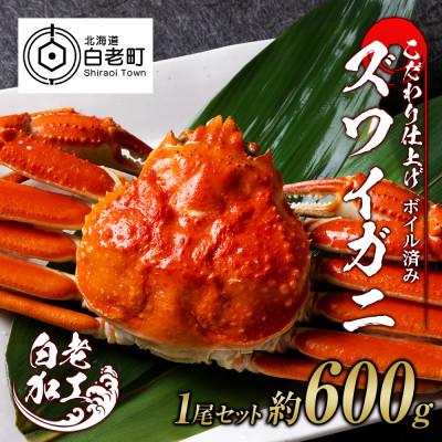 ふるさと納税 白老町 訳あり　ズワイガニ 姿 ボイル済み 冷凍 1尾セット 約600g BM027