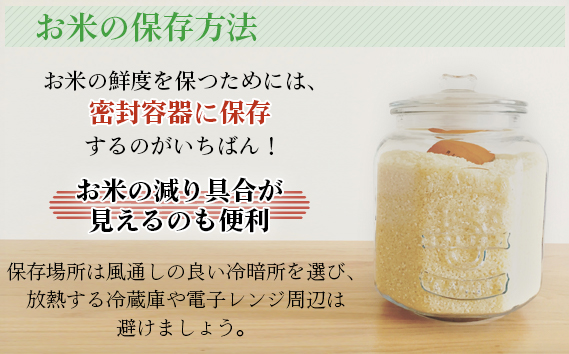 【坂東市産】【令和6年産米】茨城コシヒカリ5kg