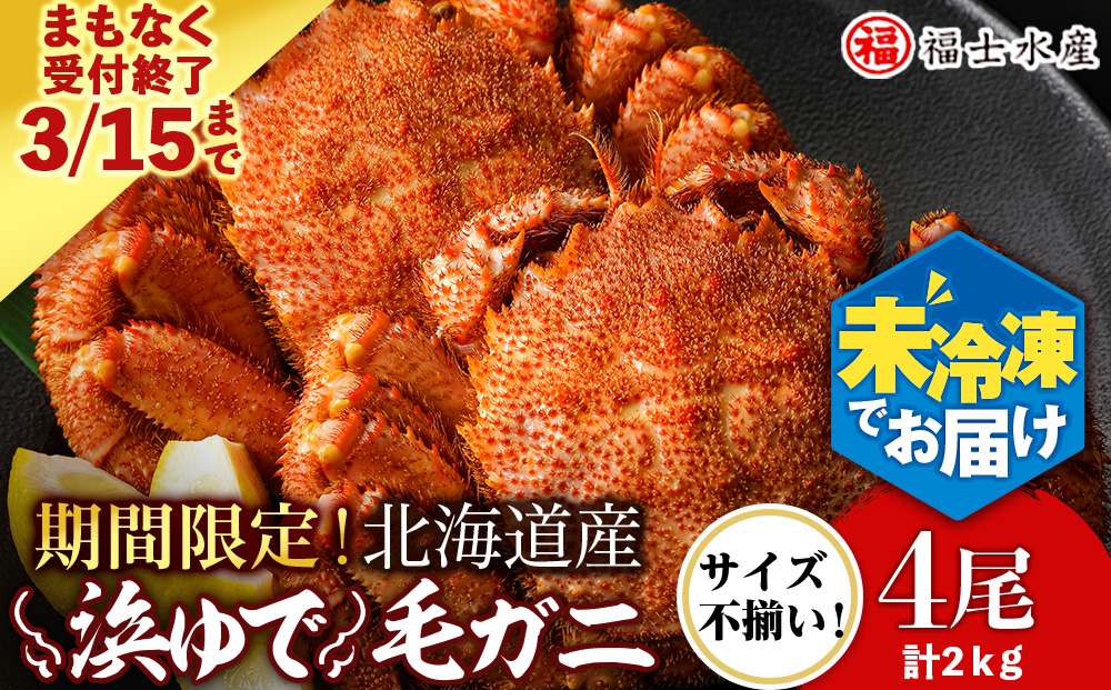 【2027年発送予約】チルドでお届け！ 浜茹で毛ガニ中サイズ４尾（不揃い合計約2kg） 〈福士水産〉