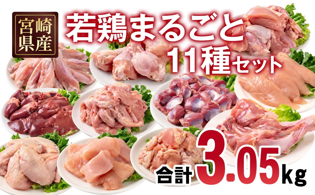 
                  宮崎県産若鶏 11種 3.05kgセット 小分け もも肉 むね肉 筋なしささみ 砂肝等々11種 小分け 11パック とり肉 国産 真空パック 切身 切り身モモ肉 ムネ肉 ササミ＜1.4-34＞ 70-8a　　
                
