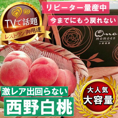 【ふるさと納税】《市場に出回らないレアな西野白桃》人気品種指定ギフト5年連続TV出演話題ブランド2026年7月中旬発【配送不可地域：離島・北海道・沖縄県・中国・四国・九州】【1465270】