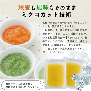 冷凍玉ねぎペースト1.0kg(500g×2袋) 冷凍便 ※離島発送不可 冷凍 たまねぎ 玉ねぎ 玉葱 野菜 野菜ペースト 離乳食 介護食 小分け ゆざ食彩工房 遊佐町 庄内 東北 [1432TN100