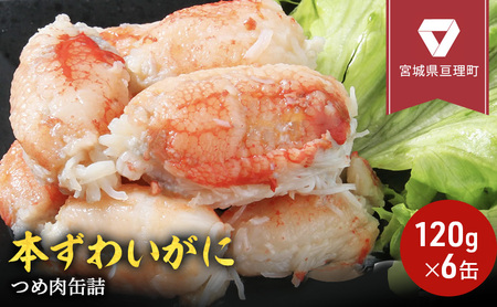 カニ缶 缶詰 本ずわいがに つめ肉 120g × 6個 セット