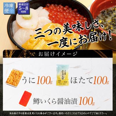 ふるさと納税 弟子屈町 【のし付】ウニ 100g 鱒いくら醤油漬け 100g ホタテ 100g 北海道 弟子屈町 2939 |  | 03