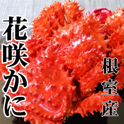 ふるさと納税 根室市 ＜12/21まで年内配送＞★花咲かに500〜650g×6尾 D-70046