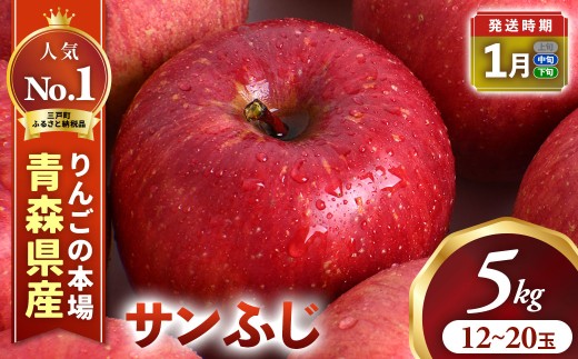 りんご【サンふじ】約5kg（12～20玉）【2026年産・先行予約】★2027年1月中旬～1月下旬頃発送予定★ 青森県三戸町産 りんご サンふじ 2026年産 サンふじりんご 旬 甘い 青森県三戸町 AK-16-014