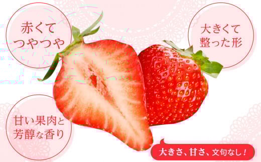 あまおう三昧（フローズンあまおう、あまおうピューレ、あまおうコンフィチュール） BD04