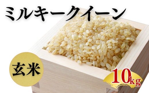 ミルキークイーン 10㎏ 松阪産 玄米( 米 コメ ミルキークイーン みるきーくいーん 10kg 人気 おすすめ 三重県 松阪市 ) 【002185】
