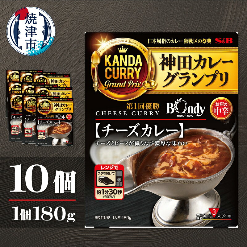 【ふるさと納税】 カレー チーズカレー 神田カレー グランプリ 欧風カレーボンディ 180g 10個 名店監修 レトルト 簡単 便利 時短 保存食 常備食 焼津 a16-207