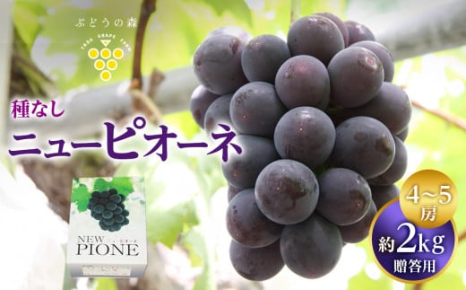 ニューピオーネ 種無し ピオーネ 約2kg 4～5房 【ぶどう 葡萄 果物 くだもの フルーツ 甘い ジューシー ギフト プレゼント 贈答用 香川県 さぬき 】