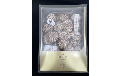 乾しいたけ 「花どんこ」 (310g) きのこ 椎茸 大分県産 【st003】【大分県椎茸農業協同組合】