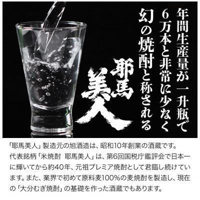 ふるさと納税 中津市 【毎月定期便】米焼酎　耶馬美人25度　 1,800ml×2　全12回 |  | 02