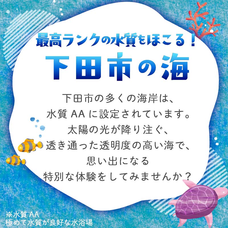ダイビング 補助券 3,000円分 優待券 下田 体験 海 アウトドア スポーツ アクティビティ マリンスポーツ レジャー 旅行 観光 夏休み お盆 GW 冬休み 春休み 初心者 中級者 上級者 コース 白浜 ホテル伊豆急 内 ドラゴンレディ 静岡県 下田市 伊豆