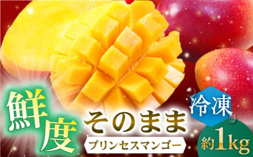 【先行予約】【冷凍】マンゴー 約1kg マンゴー プリンセス マンゴー 冷凍マンゴー ぷりんせすまんごー 完熟 マンゴー 高品質マンゴー まんごー 果物 フルーツ 冷凍 マンゴー フルーツ 冷凍マンゴー / 長崎県 佐々町 [QAT013]