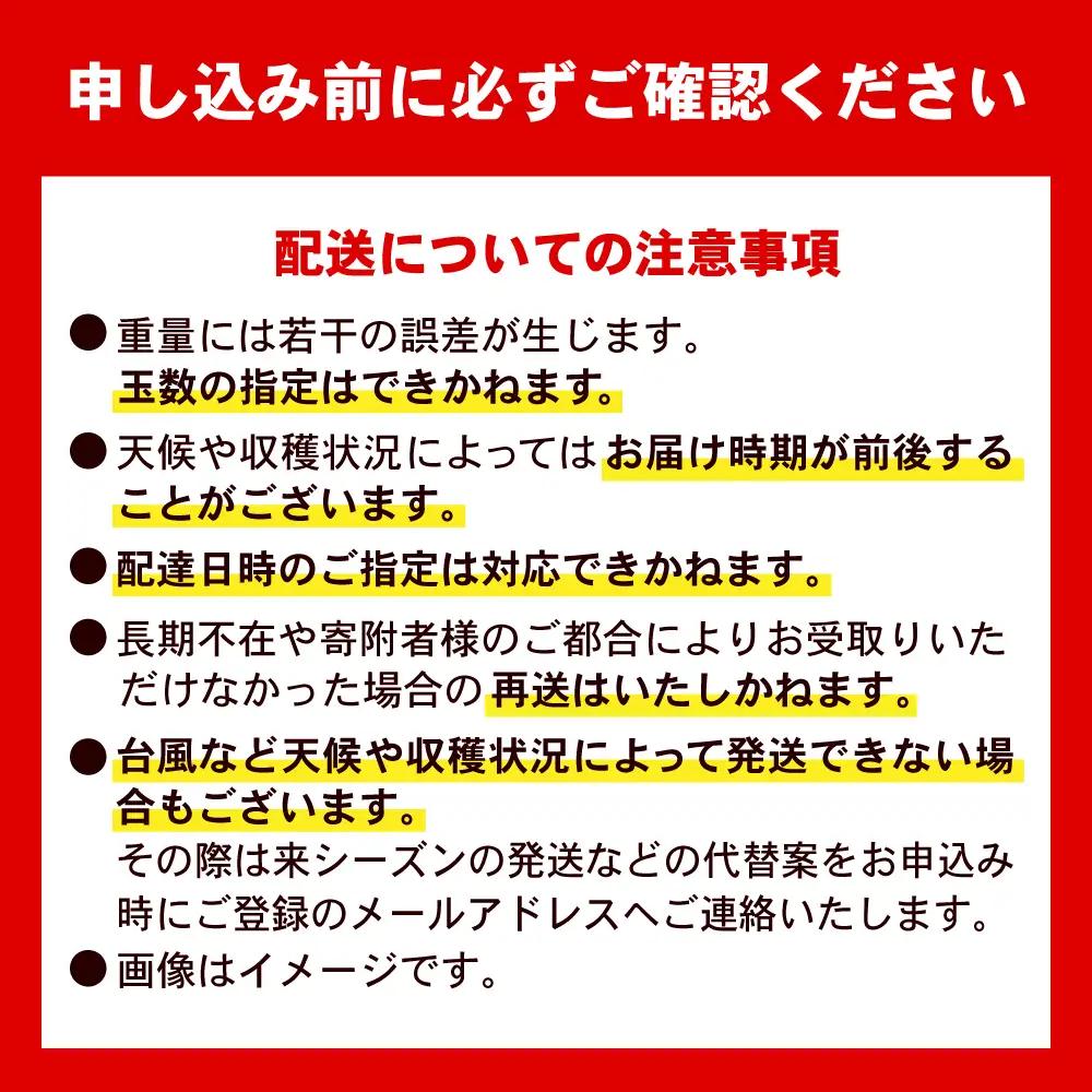 マンゴー 【2027年発送】訳あり 完熟マンゴー 約3kg (3-6玉×2箱) BCAA003
