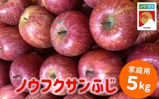 WF10-25A ノウフクサンふじ 家庭用 約5kg / 2025年11月下旬～12月下旬ごろ配送予定 // 長野県 南信州 松川町産 JAS認証 りんご リンゴ 林檎 ノウフク 農福連携