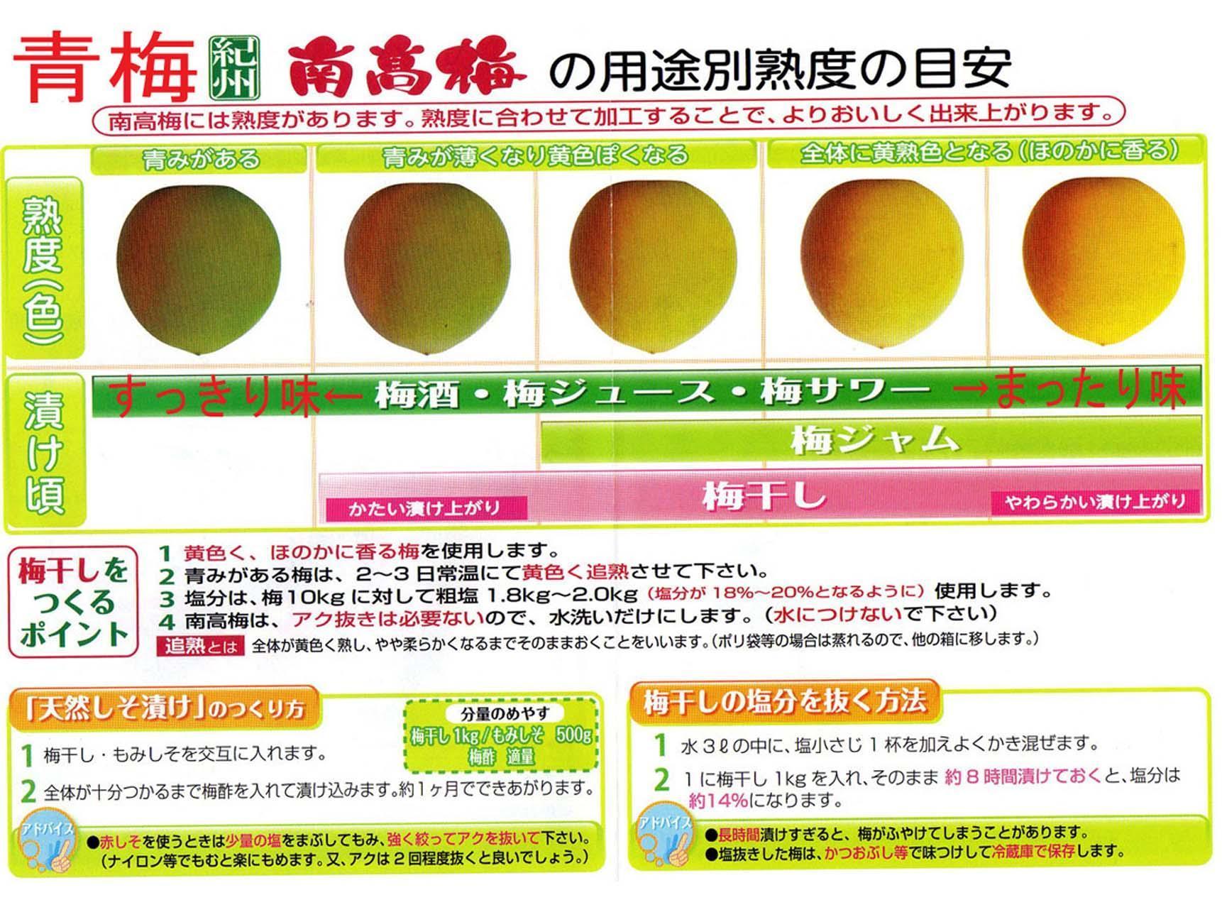 【梅干・梅酒用】大玉4Lサイズ約10kg熟南高 生梅 赤秀品＜2025年6月上旬～7月7日発送予定＞【ART02】